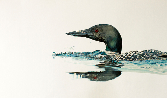 Common Loon Reflection